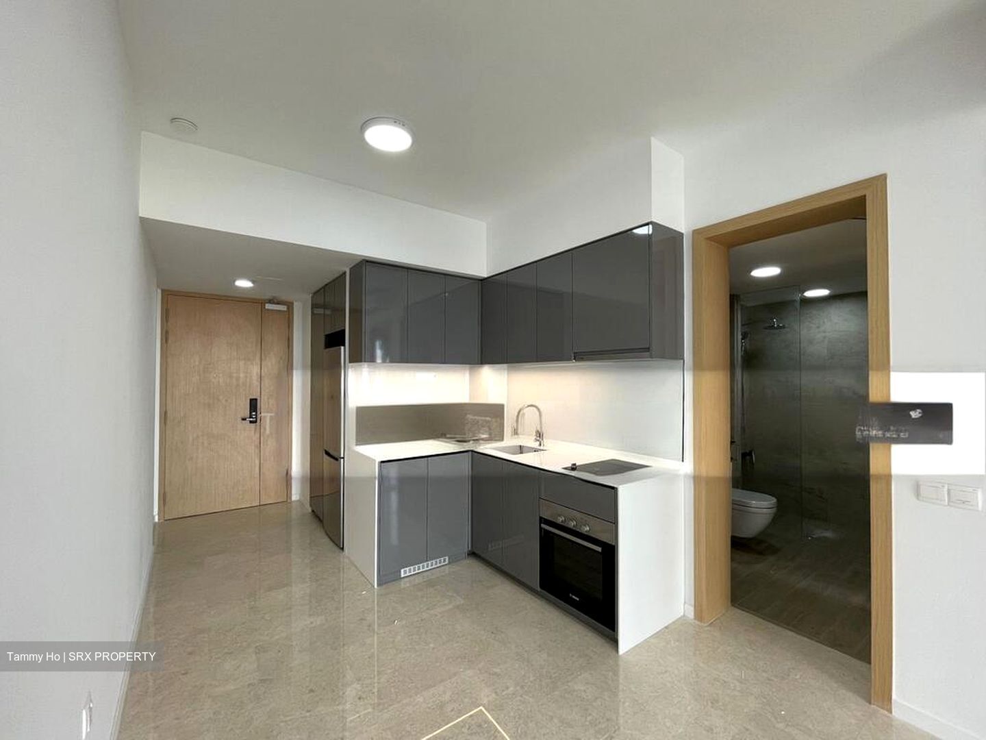 The Tre Ver (D13), Condominium #502279521